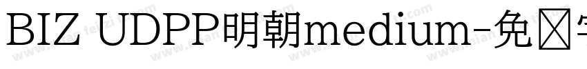 BIZ UDPP明朝medium字体转换